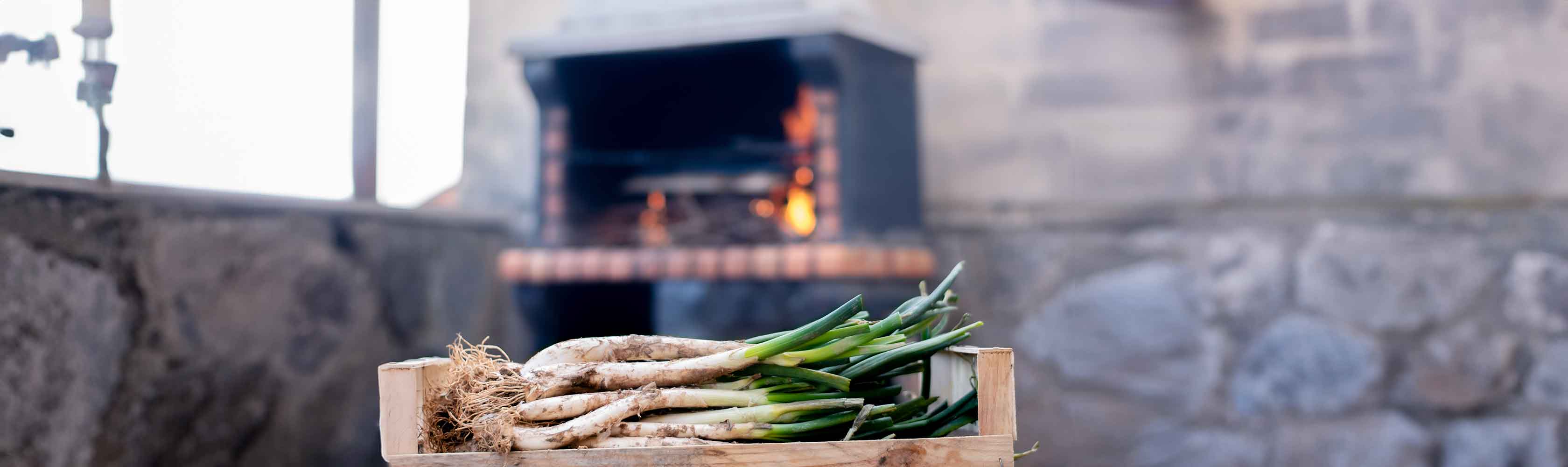 Calçots: what they are, origin and recipe